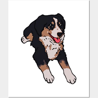 Australian Shepherd Dog Posters and Art